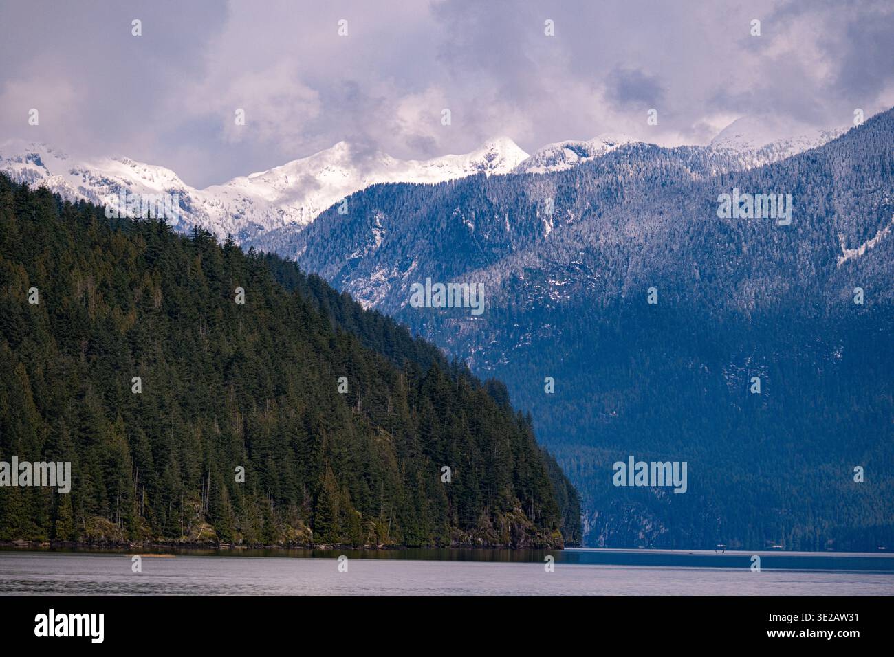 Steile, schneebedeckte Berge nahe dem nördlichen Ende des Pitt Lake, BC, über dicht bewaldete Hänge und Pitt Lake zu sehen. Stockfoto
