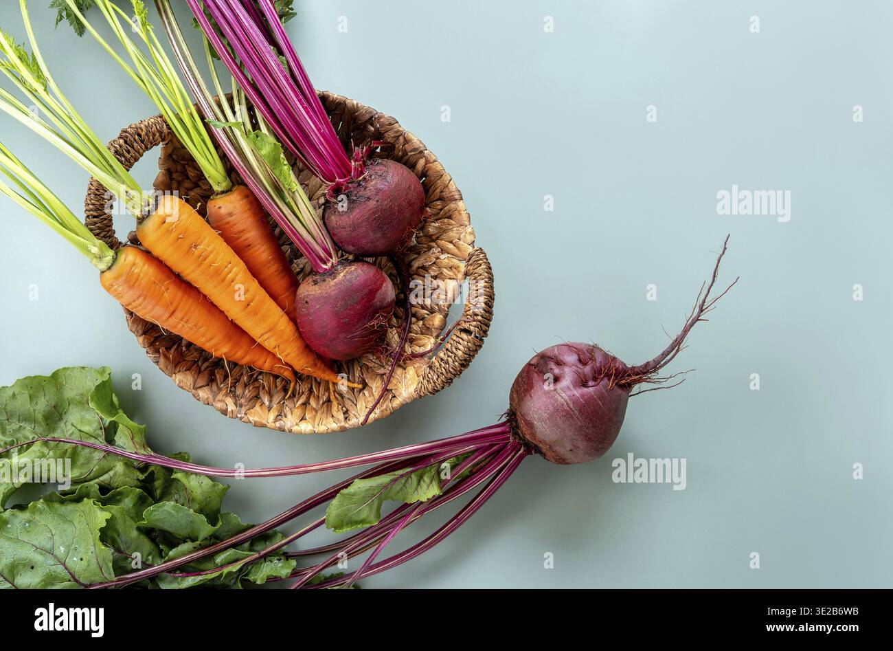 Frisch geerntet. Frisches Bauerngemüse im Korb. Gesunde Bio-Lebensmittel, rohe Karotten und Rote Bete Stockfoto