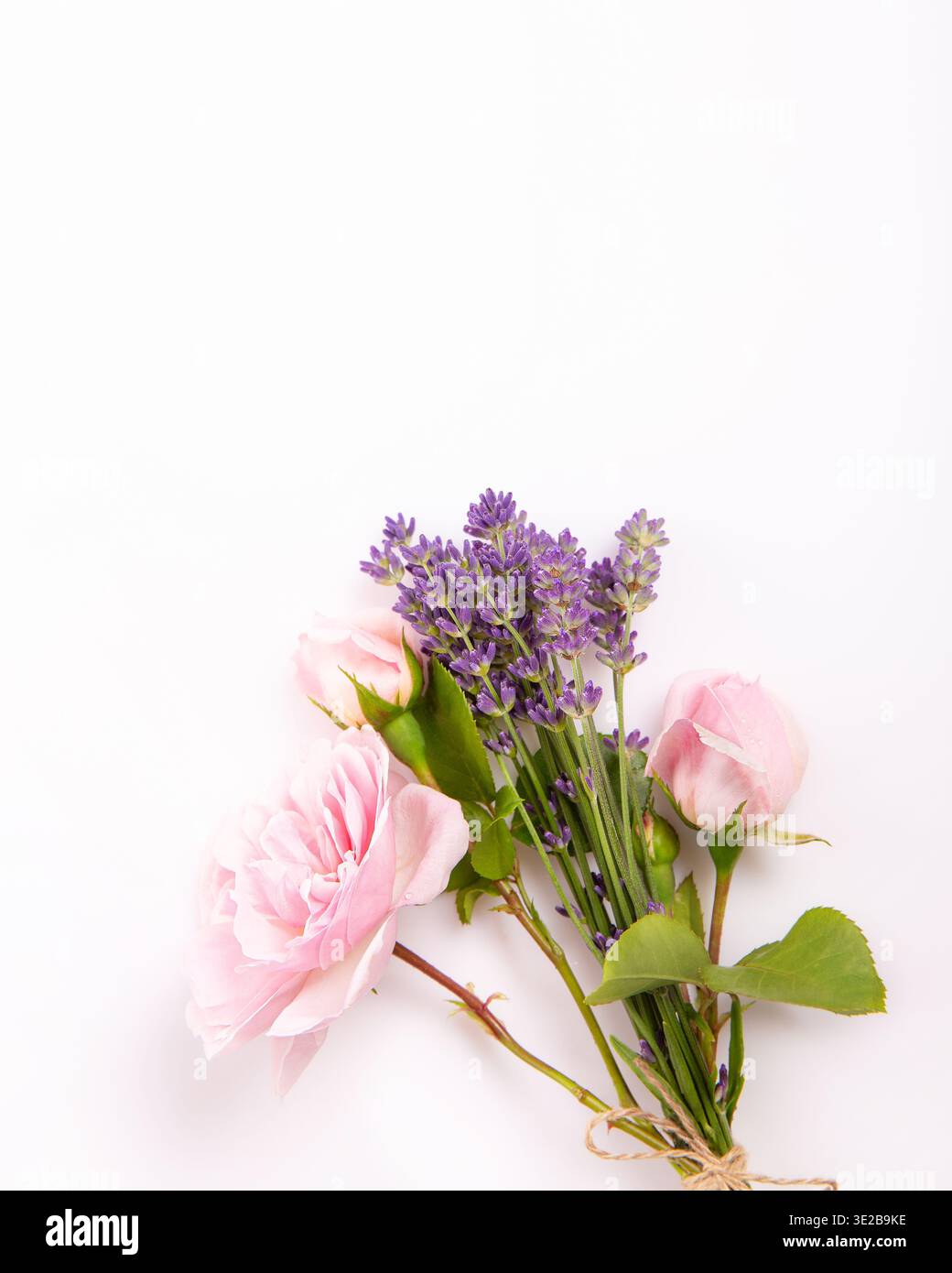 Rosa Rose und Lavendelstrauß auf weichem hellem Hintergrund, zarte vertikale Blumenkomposition mit Kopierraum. Romantische Hochzeit, femininer Gruß Stockfoto