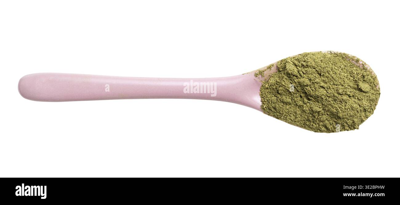 Draufsicht des gemahlenen Stevia rebaudiana Krauts (natürlicher Zuckerersatz) in rosa Keramiklöffel isoliert auf weißem Hintergrund Stockfoto