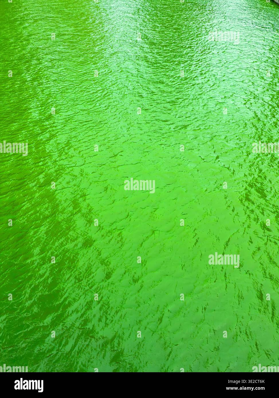 Die Oberfläche des Wassers zeigt eine hellgrüne Farbe mit kleinen Wellen, die tagsüber Sonnenlicht in einem natürlichen Bereich reflektieren. Stockfoto