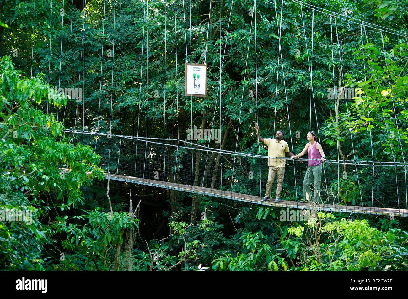 Lake Manyara Treetop Walkway, Lake Manyara National Park, Tansania Stockfoto