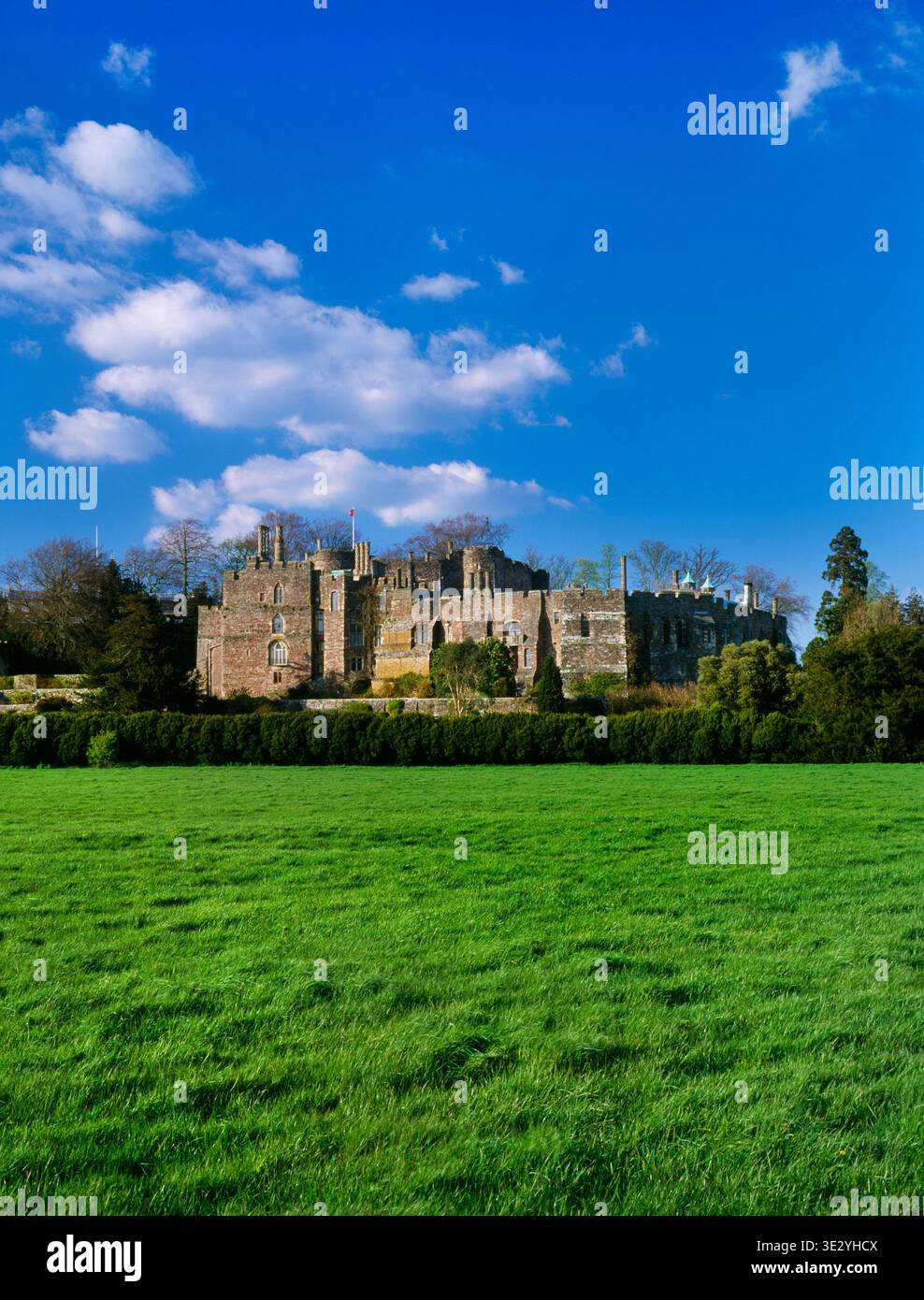 Blick auf NNE über Wasserwiesen bis zur Great Hall (L), den Vorhängen, der inneren Vorburg und dem Donjon von C14th Berkeley Castle, Gloucestershire, England, Großbritannien. Stockfoto