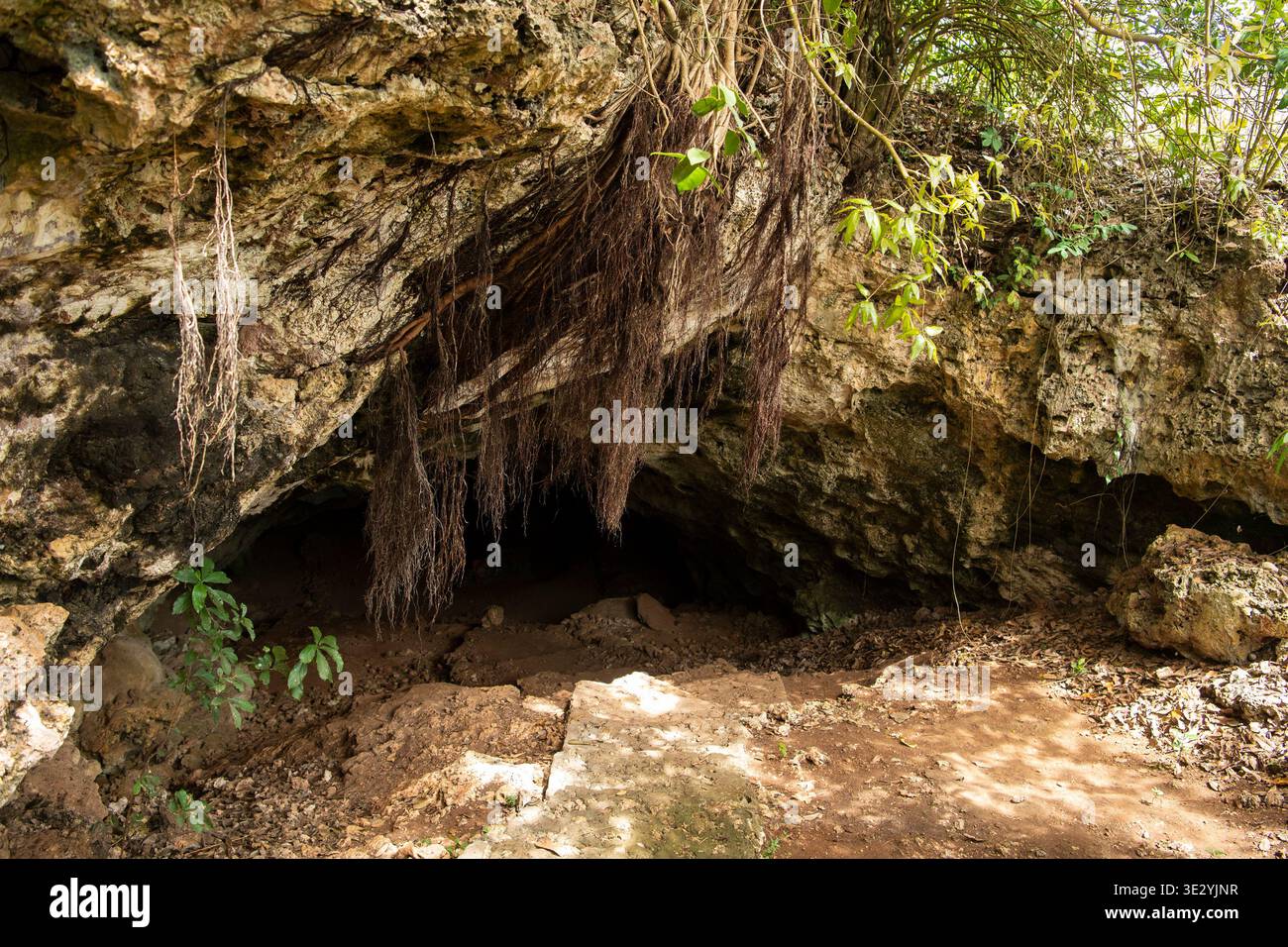 Tazari Twin Caves, Nungwi, Sansibar, Tansania Stockfoto
