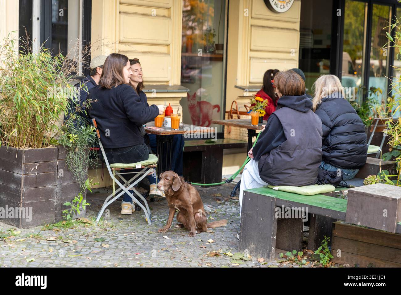 Berlin, Deutschland, 2. Mai 2025, Gruppe junger Menschen, die an einem Kaffeetisch im Freien sitzen, mit einem braunen Hund in der Nähe einer Berliner Straße. Stockfoto
