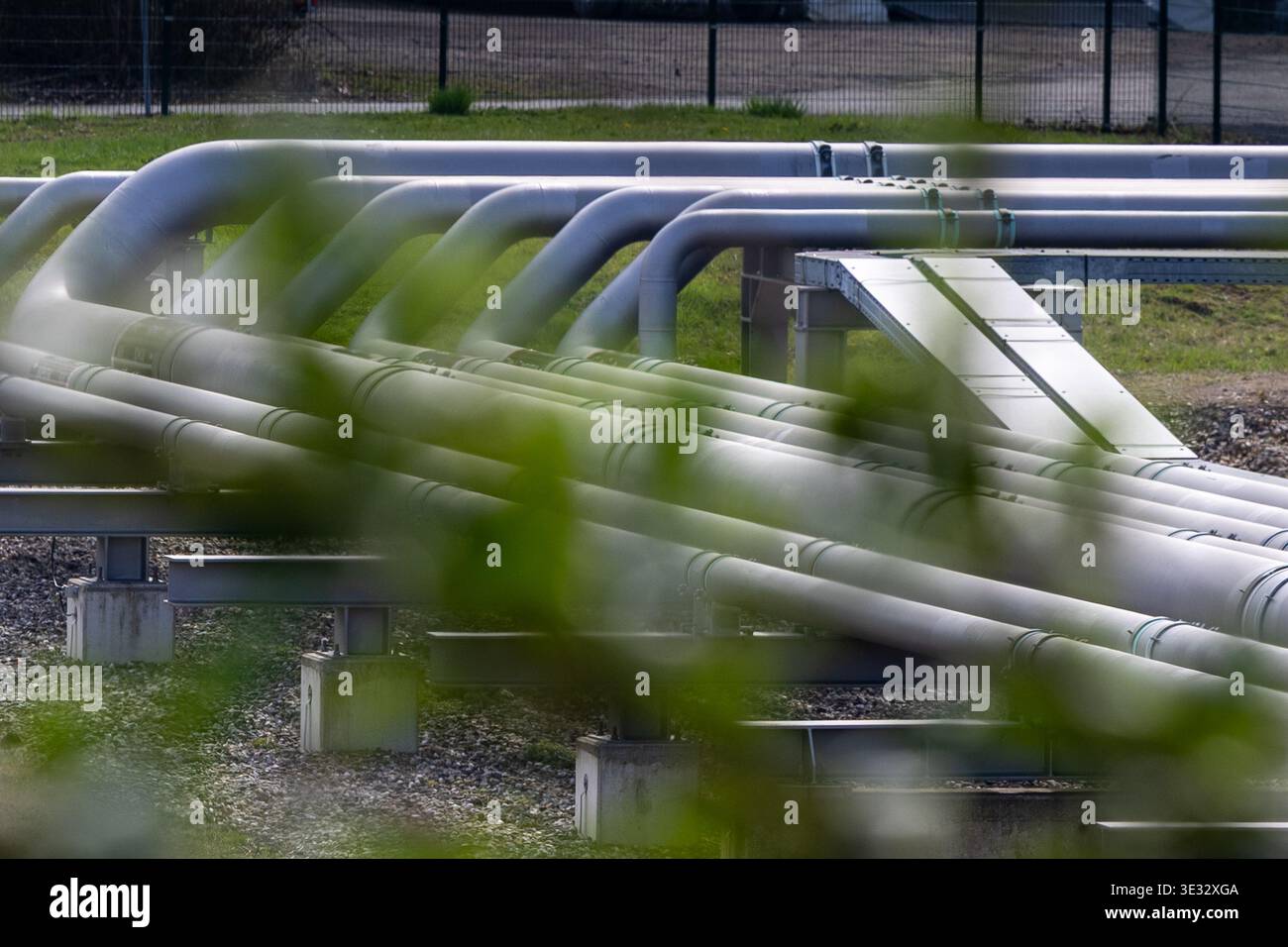 Ölpipelinesystem, das teilweise durch vordergründige Vegetation am Raffineriestandort Wesseling verdeckt ist, symbolisiert Energiefluss und Infrastruktur Stockfoto
