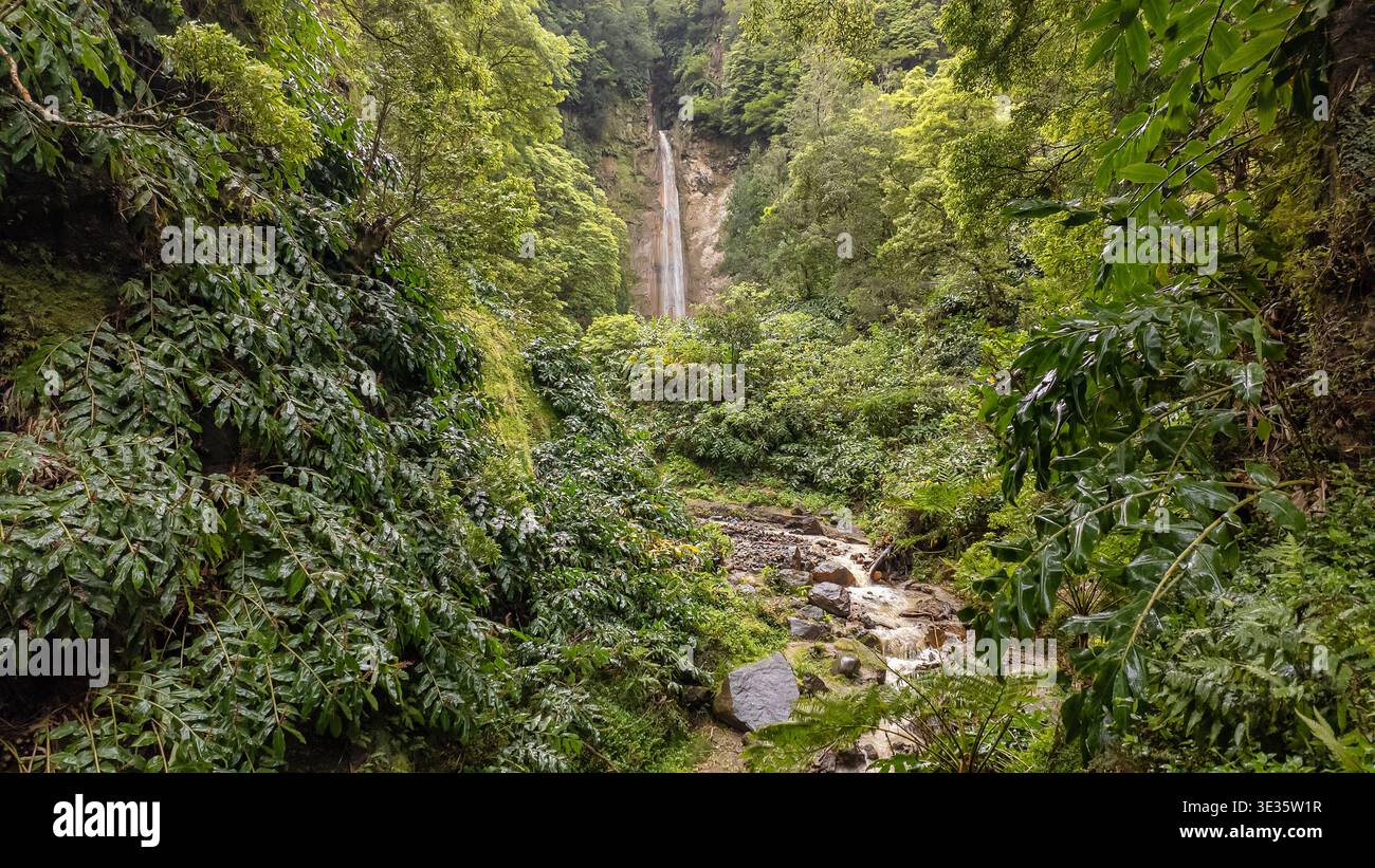 Versteckter Wasserfall im Tropenwald Sao Miguel, Azoren, Portugal Stockfoto