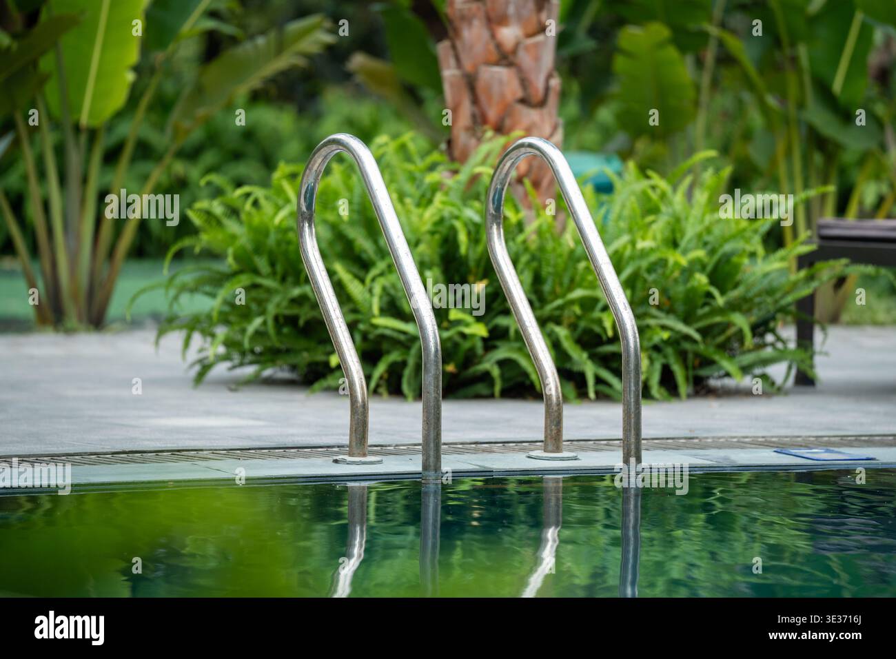 Luxus-Resort-Open-Air-Pool umgeben von Grün und Palmen, komfortabler Bereich zum Ausruhen. Stockfoto