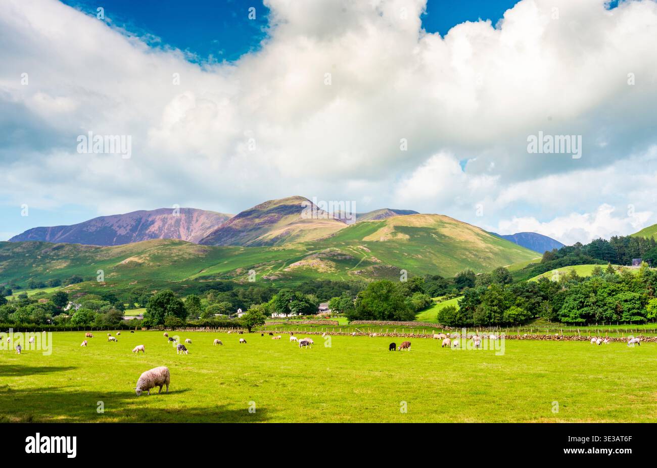 Wunderschöne Landschaft am Berg, dramatische Wolken und friedliche Sommerwiesen mit Schafen, in der warmen August-Sonne. Stockfoto