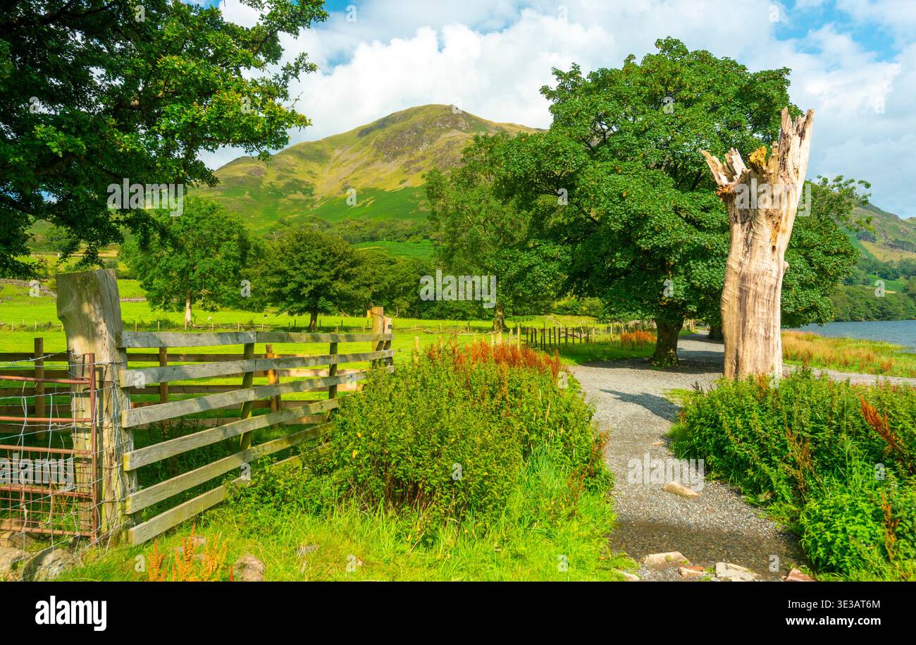 Am nordwestlichen Rand des Lake Buttermere, führt zu einem Rundgang um den wunderschönen See und die Berge, in der warmen August Sommersonne. Stockfoto