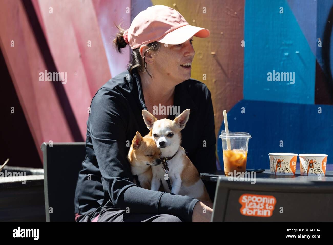Frau, die im Café sitzt und zwei kleine Hunde hält, Christchurch, Neuseeland. Stockfoto