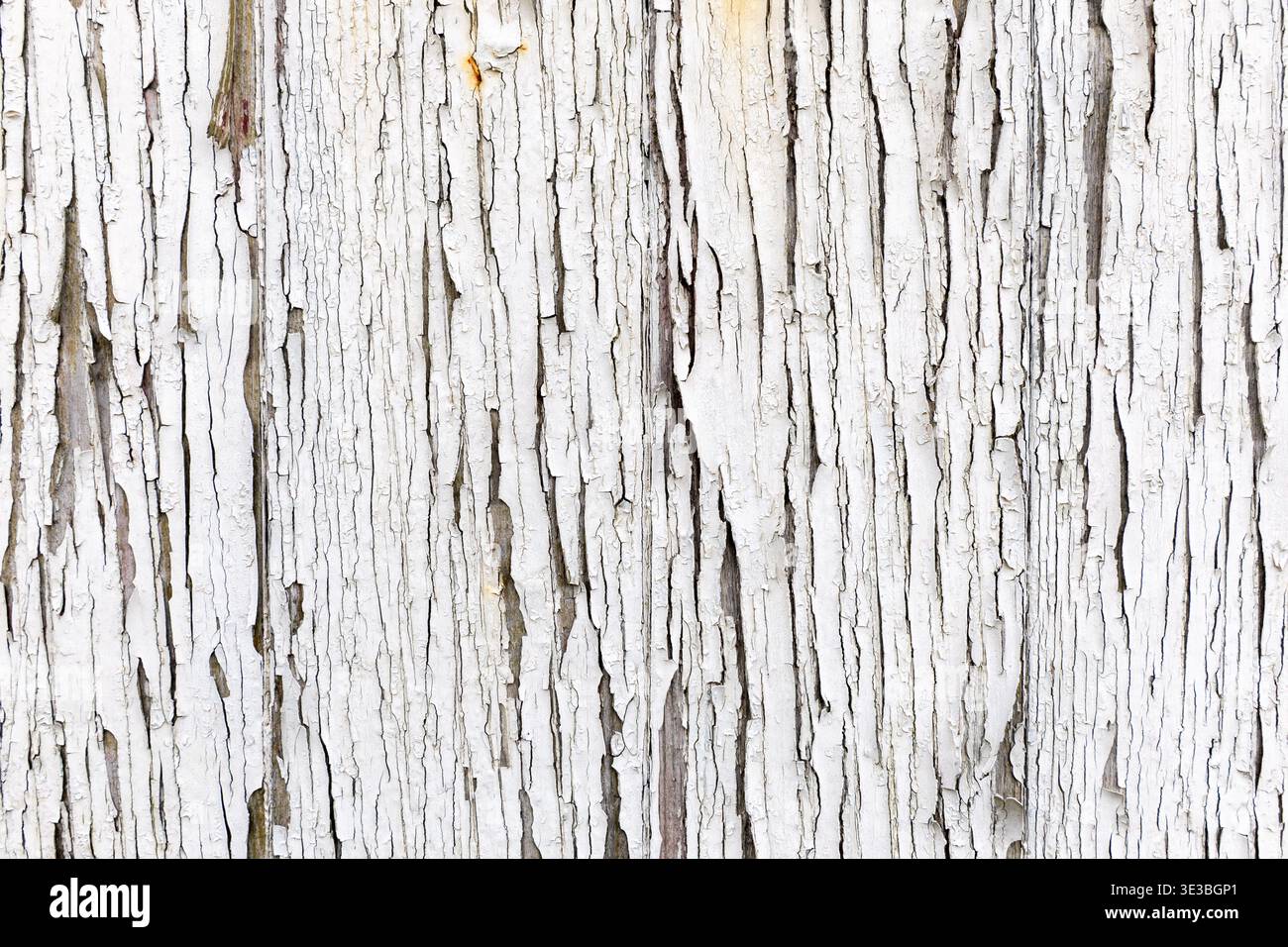 Holzwand mit verwittertem weißen Farbhintergrund Stockfoto