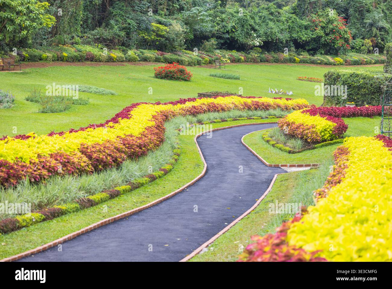 Peradeniya, Royal Botanic Gardens in der Nähe von Kandy in Sri Lanka. Gewundener Pfad durch den lebendigen botanischen Garten mit üppigen grünen Rasenflächen und farbenfrohen Blumen Stockfoto