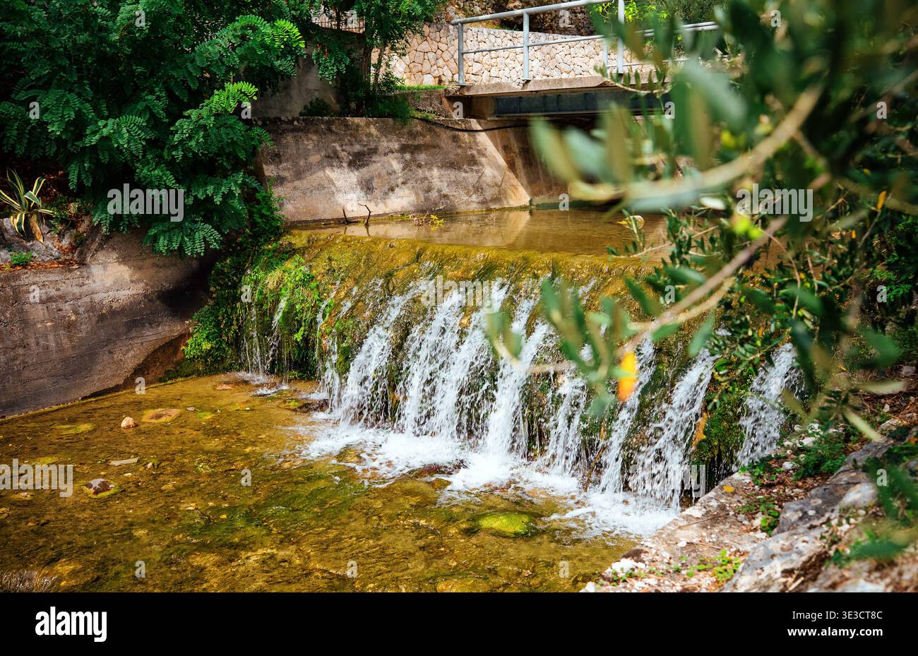 Kleiner Wasserfall, der über einen moosigen Betondamm fließt. Stockfoto