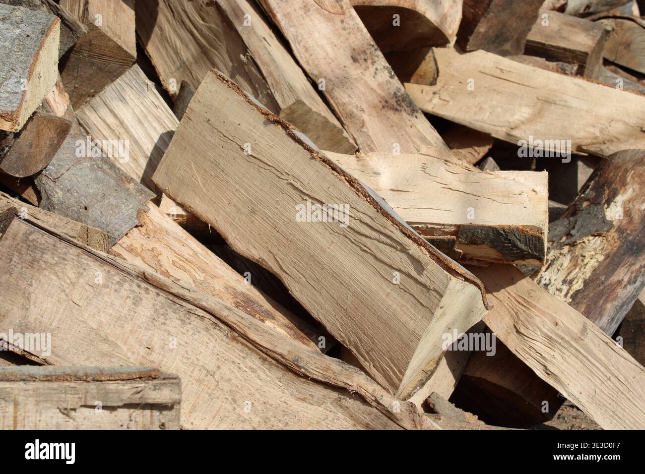 Holzscheite stapeln sich auf dem Boden in einem Außenbereich. Die Baumstämme variieren in Größe und Form und zeigen Anzeichen von Rinde und glatten Oberflächen. Sonnenlicht shi Stockfoto