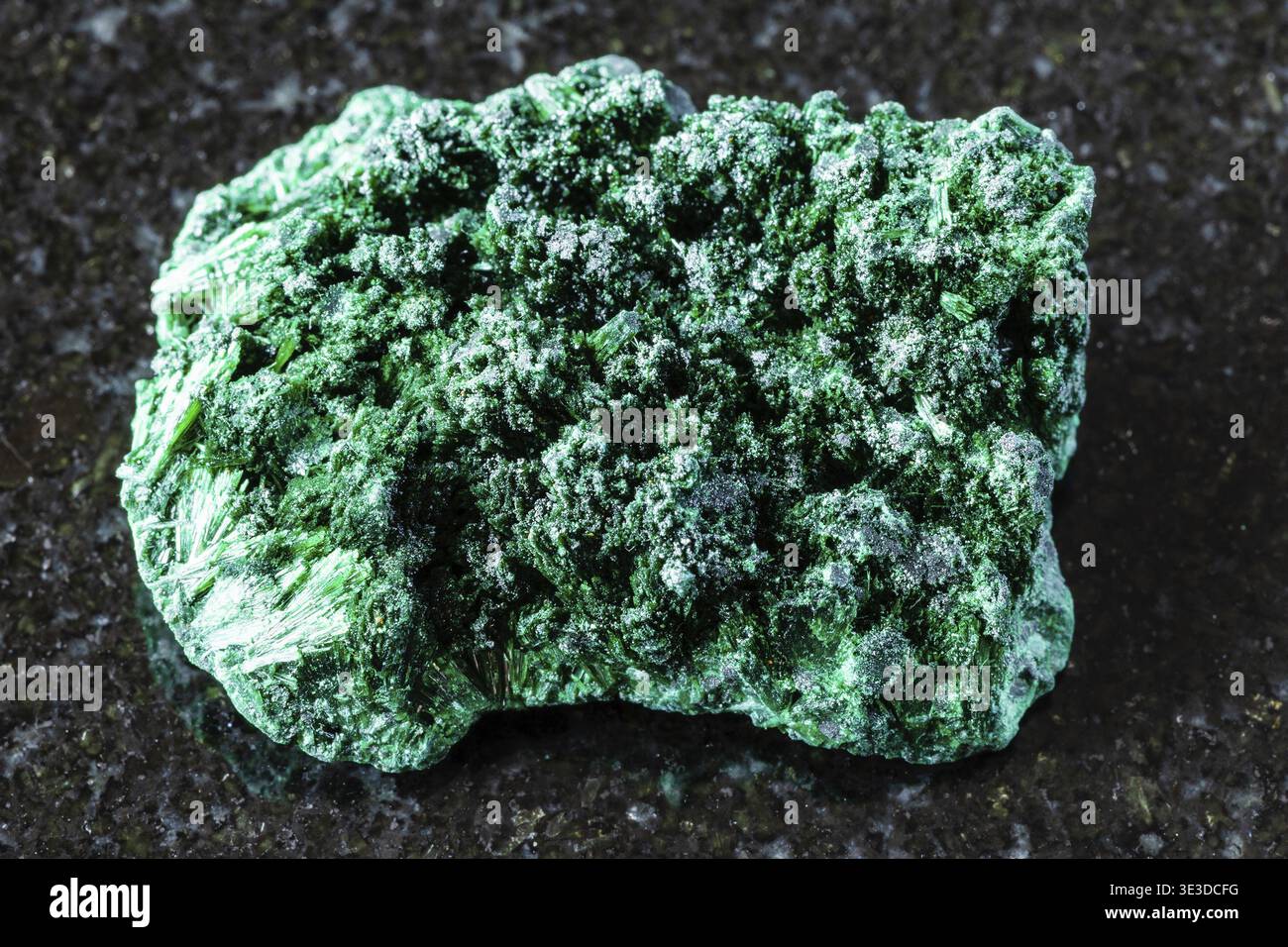 Nahaufnahme von rohem Fasermalachitmineral auf schwarzem Granithintergrund aus Katanga, Kongo Stockfoto