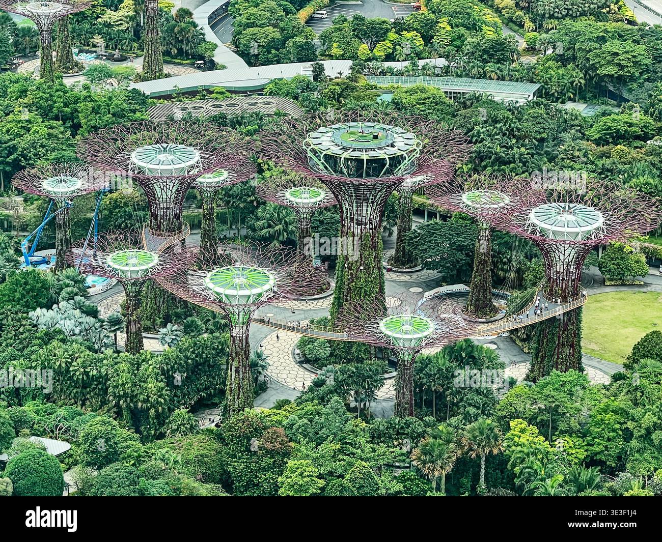 Ein Blick auf den Superbaumhain in den Gärten am Bay Park in Singapur. Stockfoto