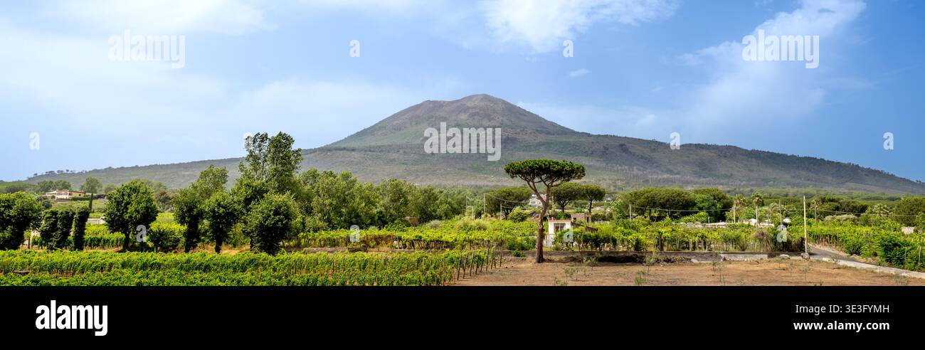 Der Vesuv, der legendäre Stratovulkan in Kampanien, Italien, mit lokalem Weingut im Vordergrund Stockfoto