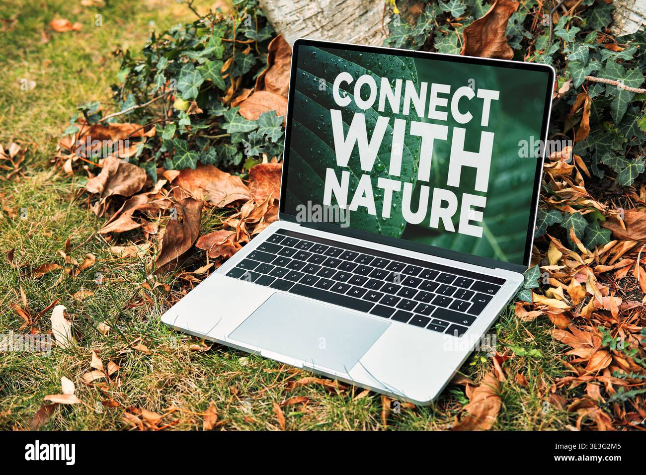 Laptop zeigt die Meldung „Connect with Nature“ auf dem Bildschirm an, die digitale Entgiftung, Fernarbeit oder Verbindung zur Umgebung in einer natürlichen Umgebung symbolisiert Stockfoto