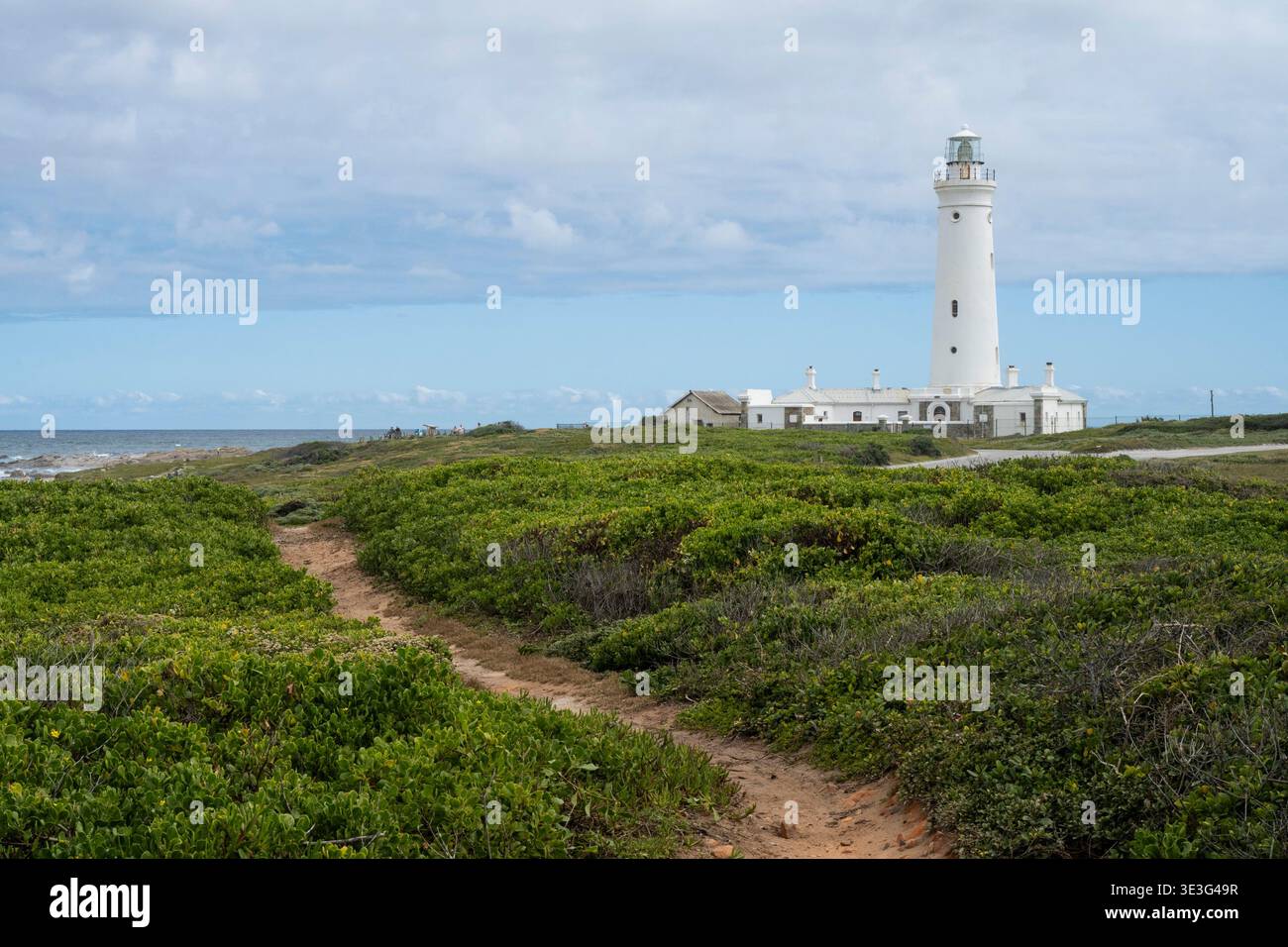 Seal Point Lighthouse, Cape St. Francis, Südafrika Stockfoto