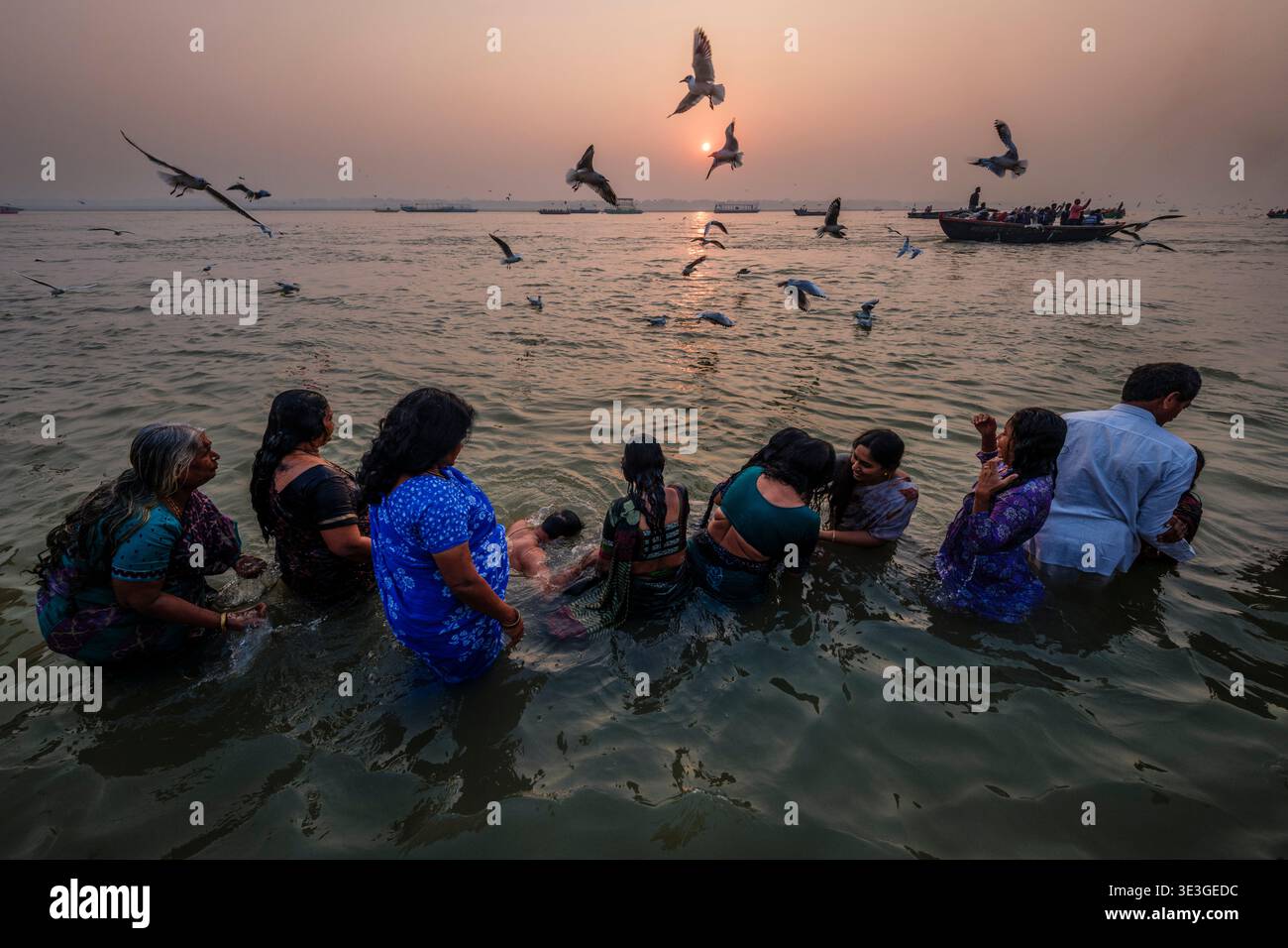 Bei Sonnenaufgang in Varanasi steht eine Gruppe von Frauen im Ganges zum rituellen Baden, während zahlreiche Möwen über die Wasseroberfläche fliegen. Stockfoto