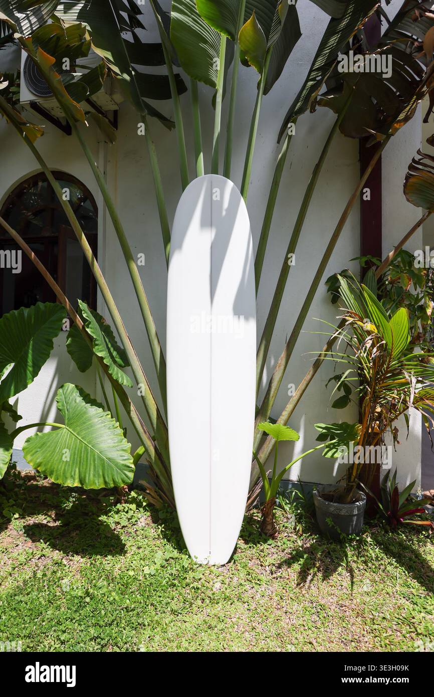 Surfbrett mit Palmblattschatten auf tropischem Hintergrund Stockfoto