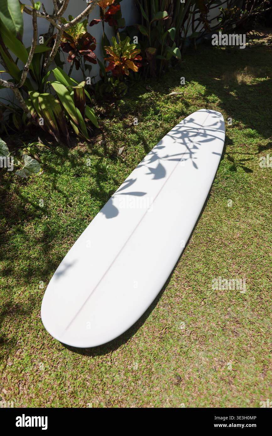 Surfen Sie auf Gras mit tropischen Pflanzenschatten Stockfoto