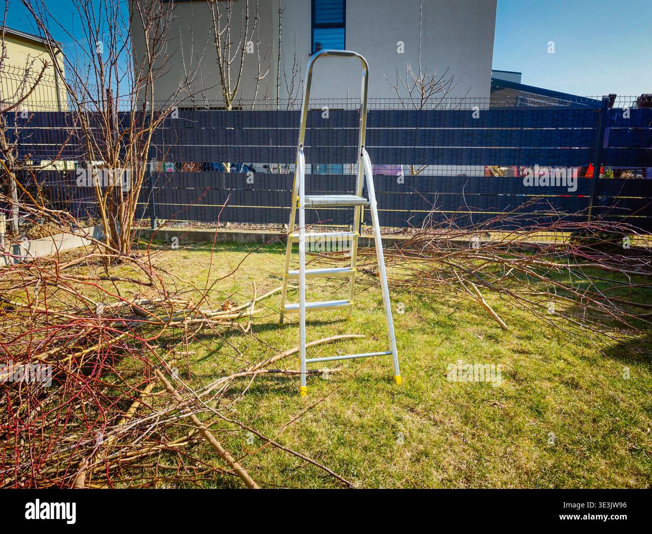Beschnittene Bäume im privaten Hof im Frühjahr mit abgeschnittenen Ästen, saisonaler Gartenpflege und Landschaftsgestaltung im Hinterhof Stockfoto