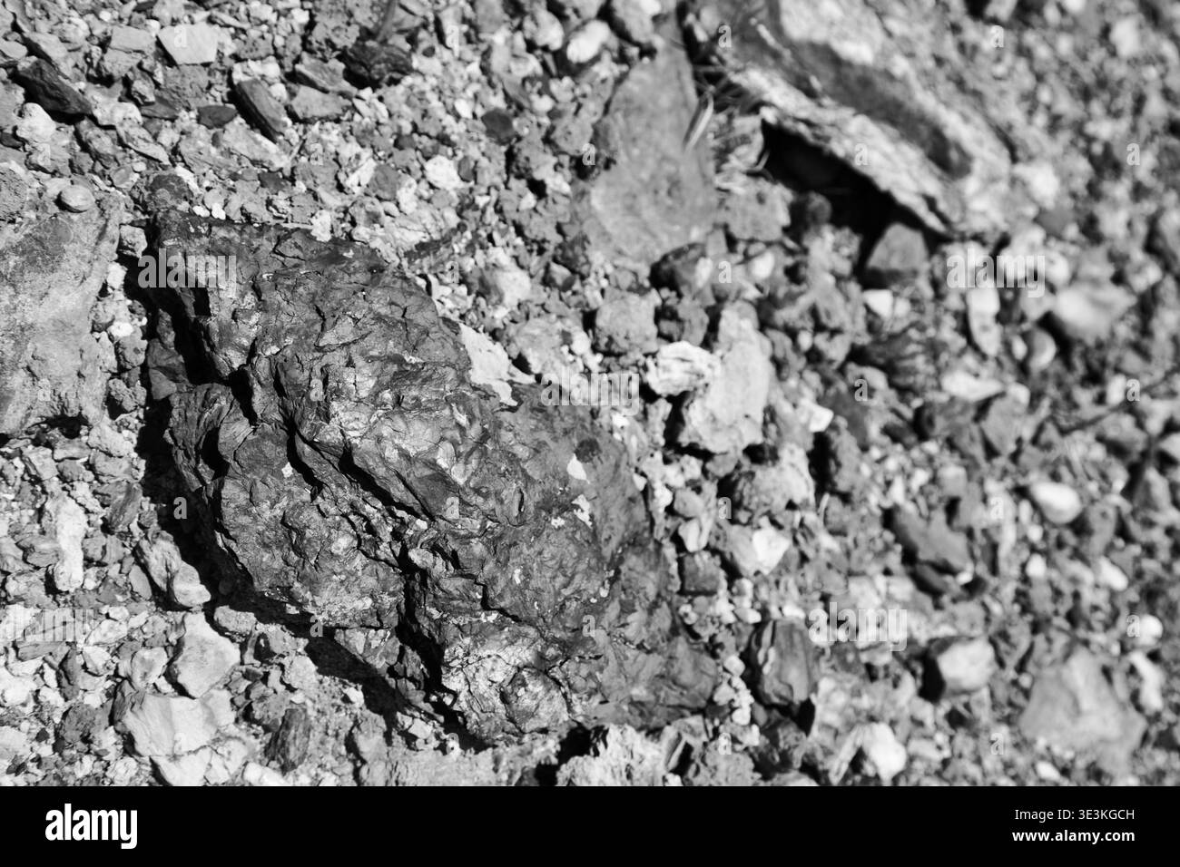Nahaufnahme Eines Schwarzweißfotos Von Rocky Shoreline Pebbles Und Muschelfragmenten Auf Dem Fishermans Trail, Portugal. Stockfoto