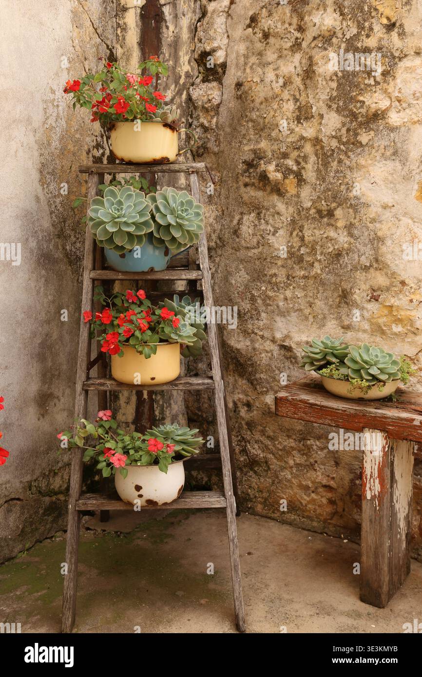 Vintage-Pflanzenständer Stockfoto
