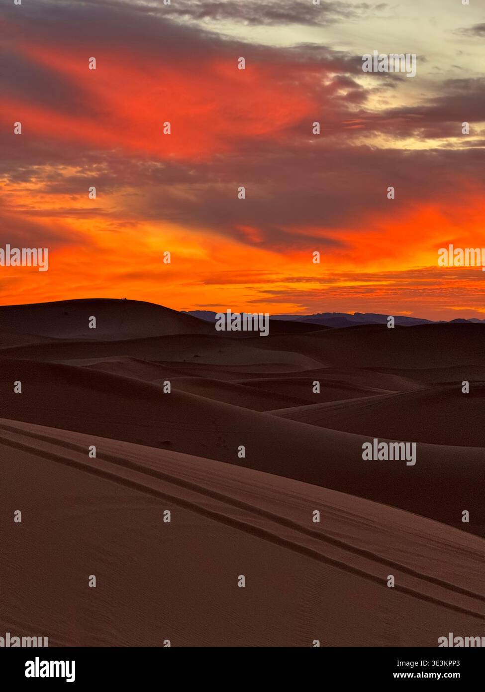 Sonnenuntergang über den Erg Chebbi Dünen in Marokko mit goldenem Wüstenlicht und stimmungsvoller Sanddünen-Landschaft. - Smartphone-aufgenommenes Stockfoto
