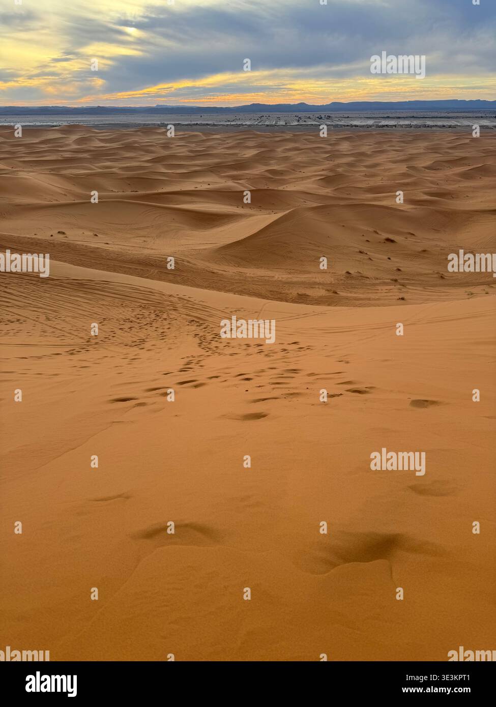 Sonnenuntergang über den Erg Chebbi Dünen in Marokko mit goldenem Wüstenlicht und stimmungsvoller Sanddünen-Landschaft. - Smartphone-aufgenommenes Stockfoto
