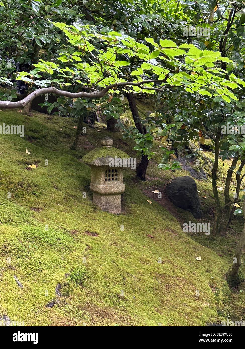 Atmosphärischer Eindruck aus dem Japanischen Garten in Portland, mit ruhiger Landschaft, üppigem Grün und friedlichem japanischem Design. - Smartphone-aufgenommenes Stockfoto