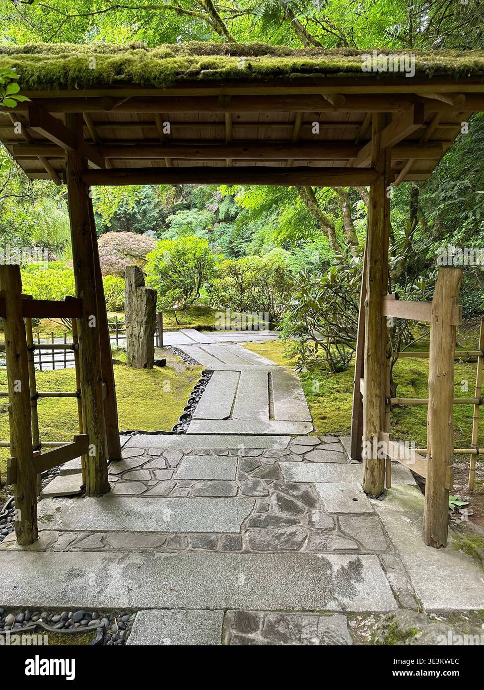 Atmosphärischer Eindruck aus dem Japanischen Garten in Portland, mit ruhiger Landschaft, üppigem Grün und friedlichem japanischem Design. - Smartphone-aufgenommenes Stockfoto