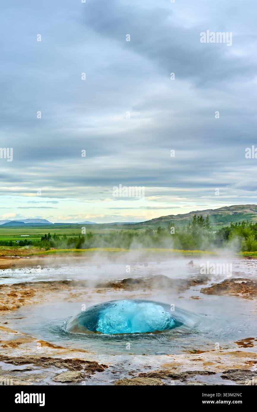 Strokkur-Geysir bricht aus und schickt Wasser hoch in die Luft. Die umliegende Landschaft zeigt Grün und ferne Berge. Stockfoto