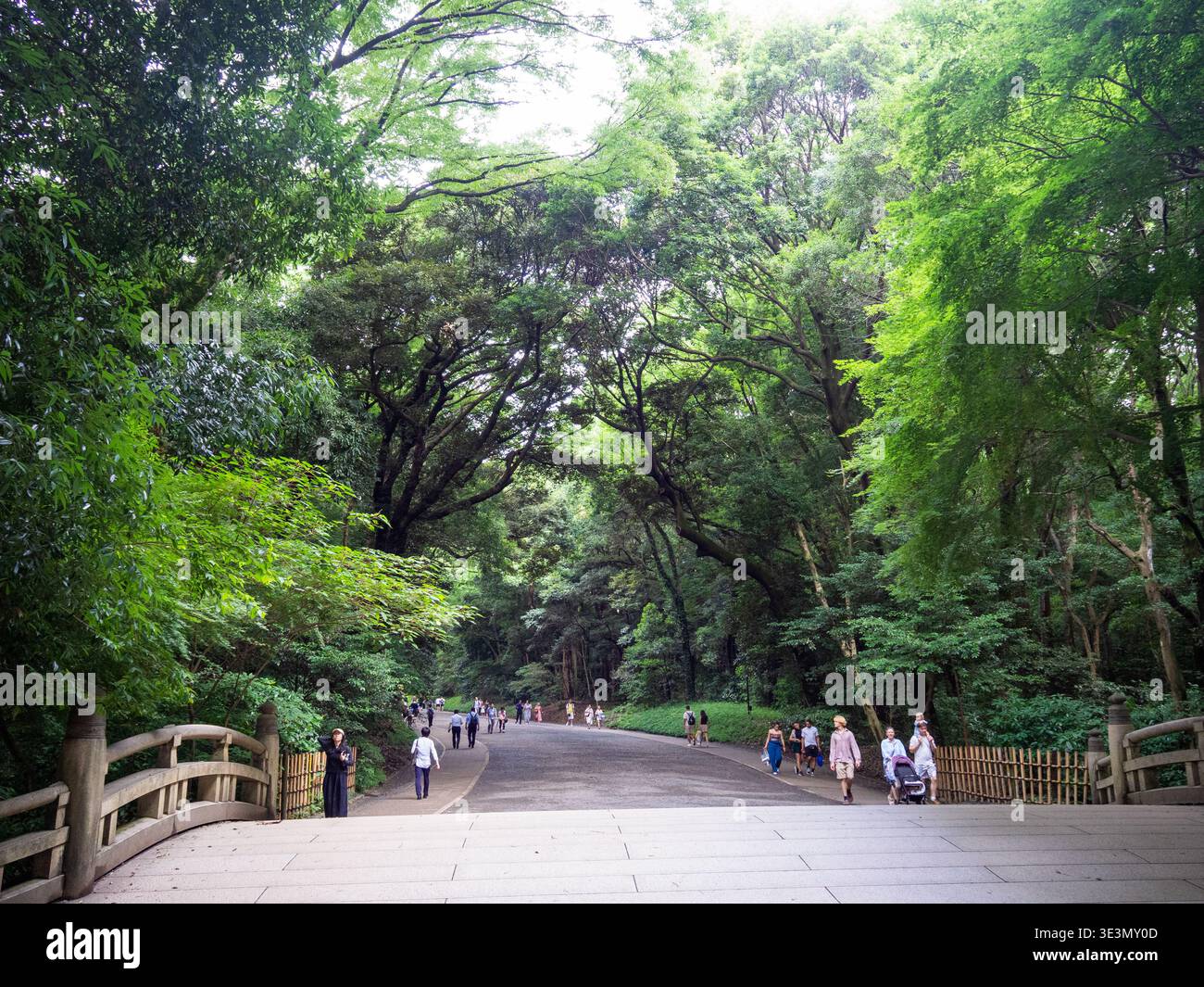Gehen Sie über die Shinkyo (Heilige Brücke) im Meiji Jingu Wald Stockfoto