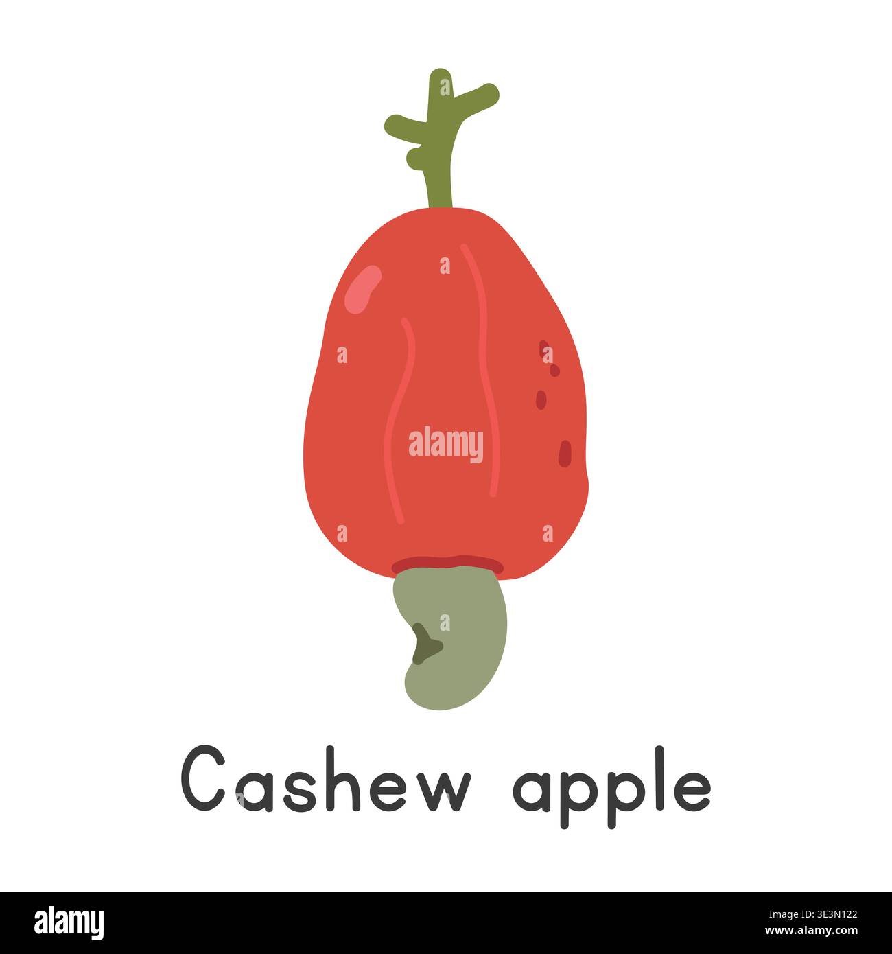 Illustration des flachen Cashew-Vektors. Red Cashew Apfel Cartoon Clipart Style. Auch bekannt als Anacardium occidentale, Cashewfrucht, Pomme-Cajou, Pomme Stock Vektor
