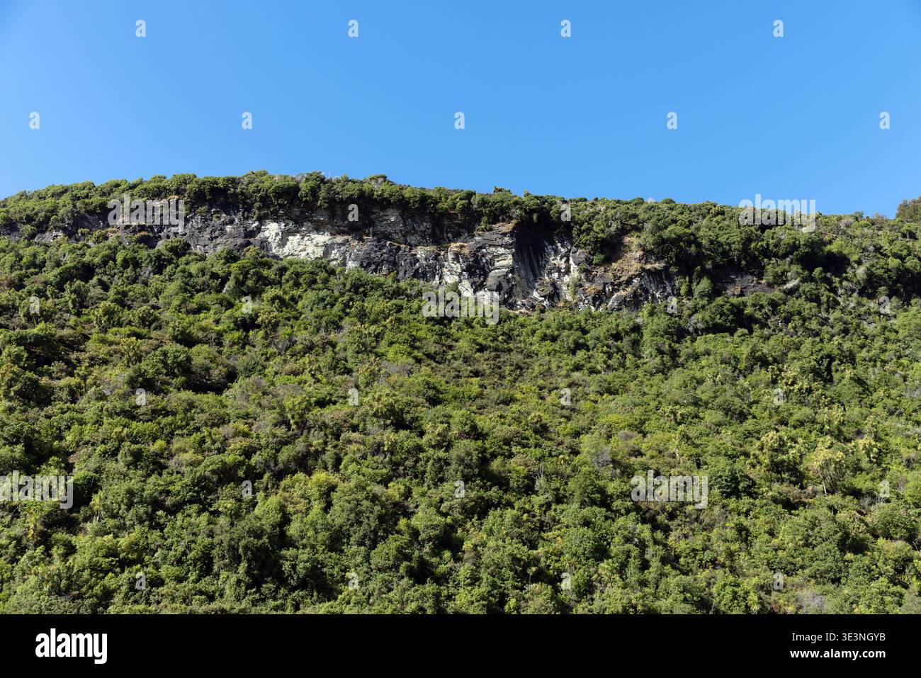 Waldbewachsener Hügel mit freiliegender Felswand in der Nähe von Glenorchy, Otago, Südinsel, Neuseeland Stockfoto