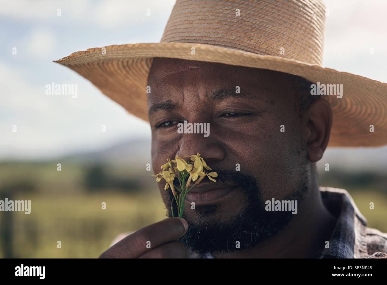 Blumen-, Riech- und Schwarzmensch auf dem Bauernhof in der Natur für Nachhaltigkeit, Umwelt oder Landwirtschaft. Umweltfreundlicher, wachstumsfreundlicher und reifer afrikanischer Landwirt Stockfoto