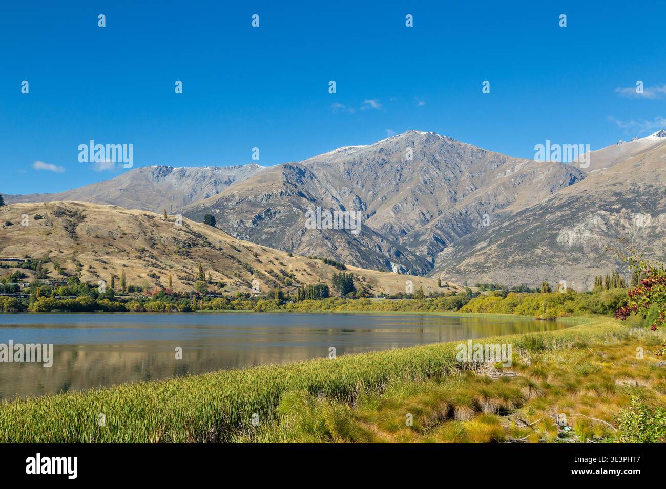 Blick über den Lake Hayes auf die Remarkables-Bergkette an einem hellen und sonnigen Apriltag, Central Otago, Neuseeland Stockfoto