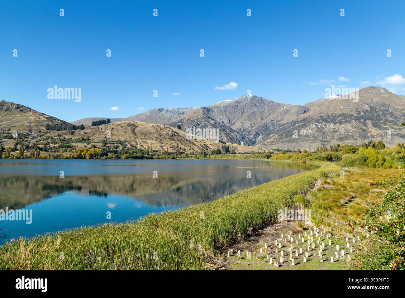 Blick über den Lake Hayes auf die Remarkables-Bergkette an einem hellen und sonnigen Apriltag, Central Otago, Neuseeland Stockfoto