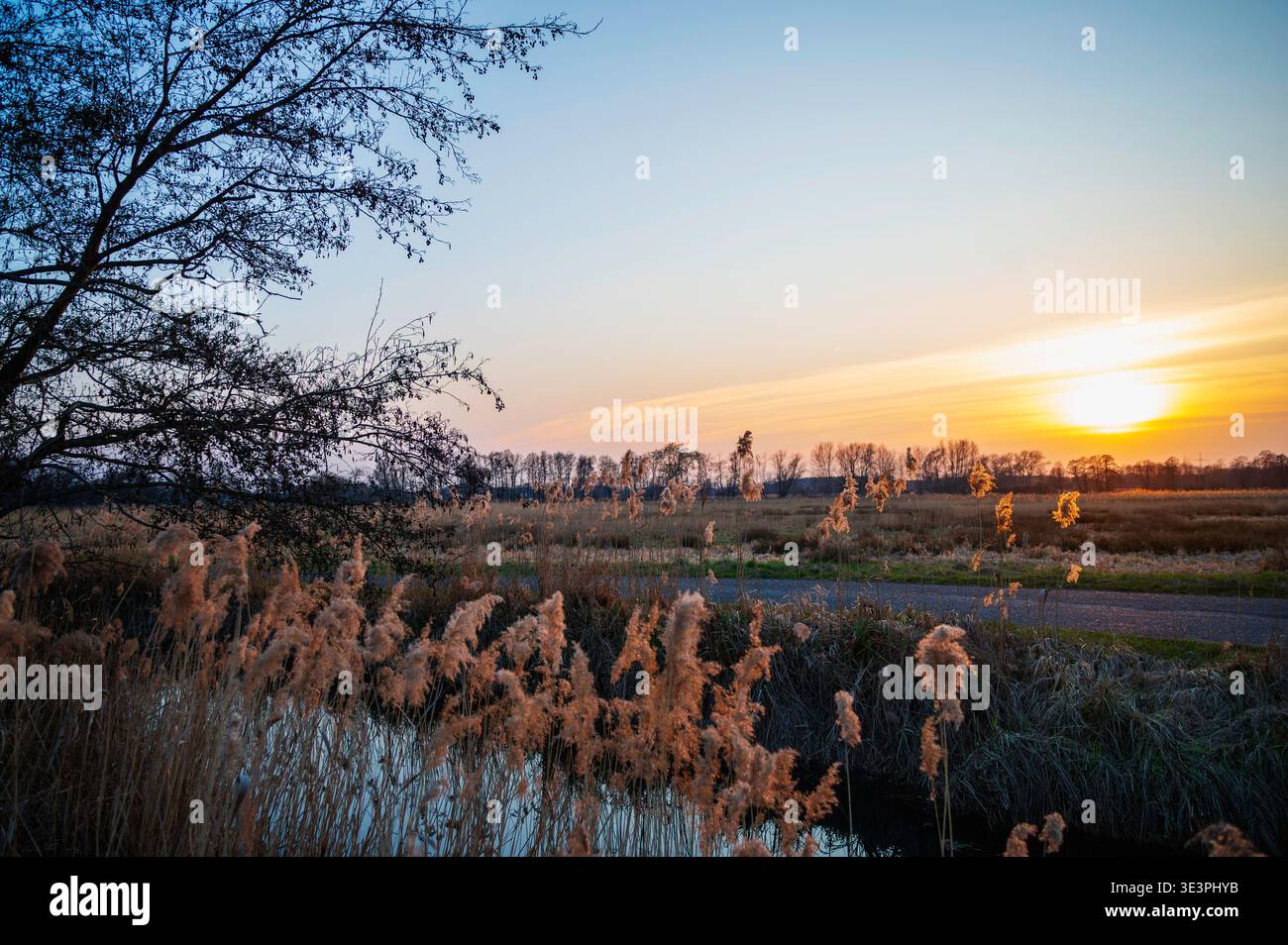 Ein Sonnenuntergang in Deutschland im März. Stockfoto