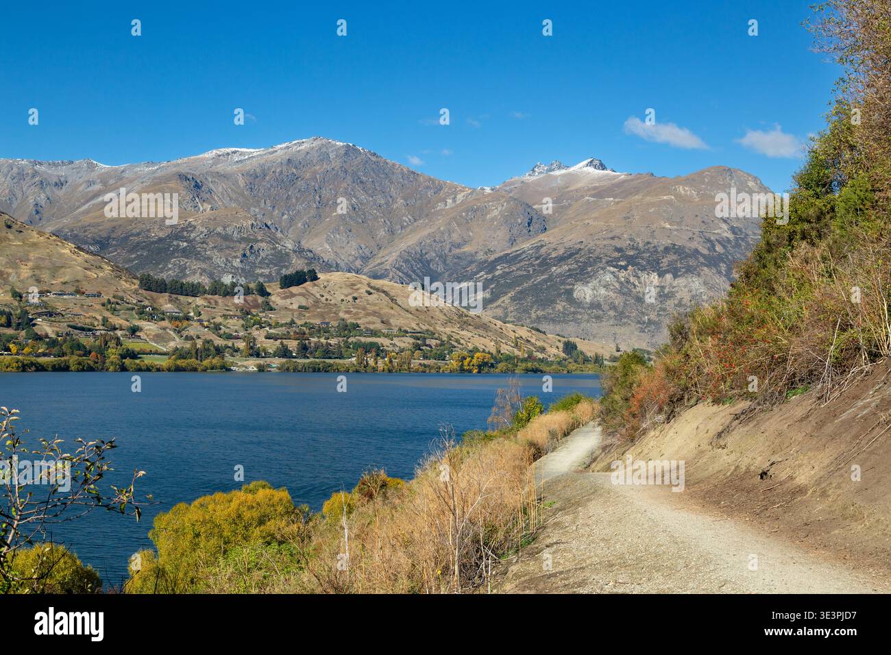 Teil des 8 km langen Lake Hayes Circuit, ein beliebter Wanderweg zum Wandern, Joggen und Radfahren, mit der Remarkables-Bergkette im Hintergrund. Stockfoto