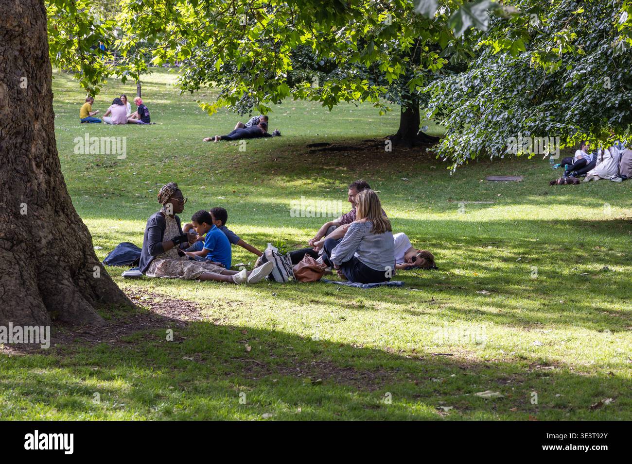 Die Leute entspannen auf dem Gras in einem sonnigen Park unter großen Bäumen. London, UK, 23. Juli 2023 Stockfoto