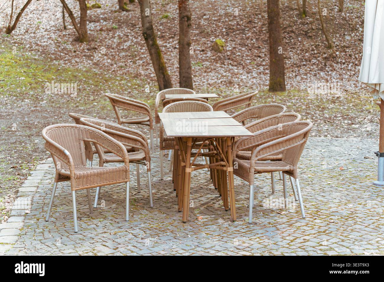 Holztisch sitzt an einem Kiesweg. Korbstühle mit Metallbeinen umgeben ihn. Bäume stehen in der Nähe mit trockenen Blättern auf dem Boden. Grasflecken wachsen Stockfoto