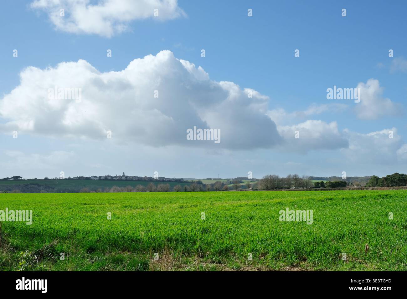 Dorset Farmland mit Blick nach Süden in Richtung Dorchester Stockfoto