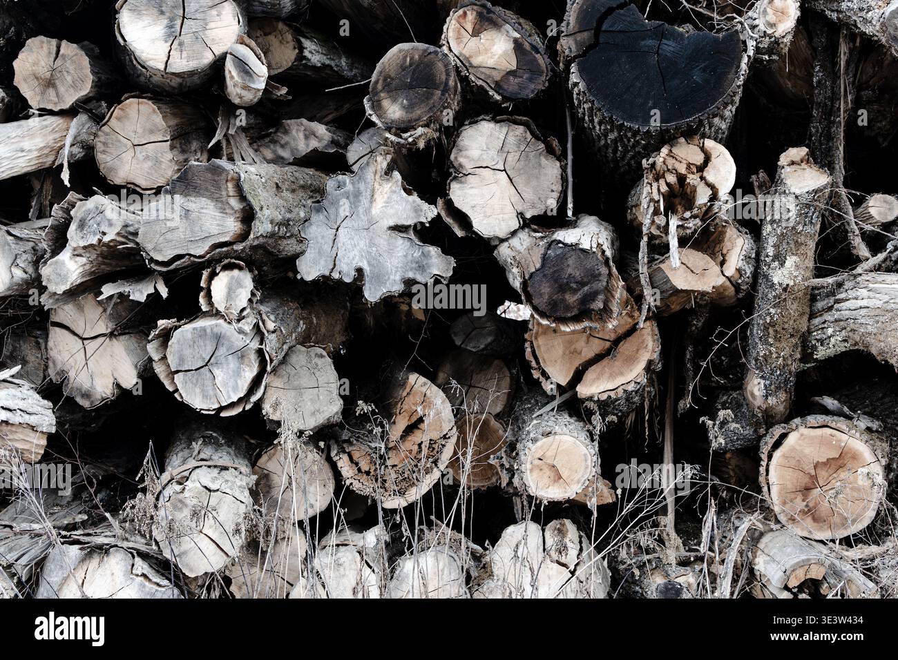 Nahaufnahme eines Stapels aus geschnittenen Stämmen und verwittertem Brennholz, der Rinde, Risse und eine raue Holzstruktur freilegt, ideal für rustikale, forstliche, Stockfoto