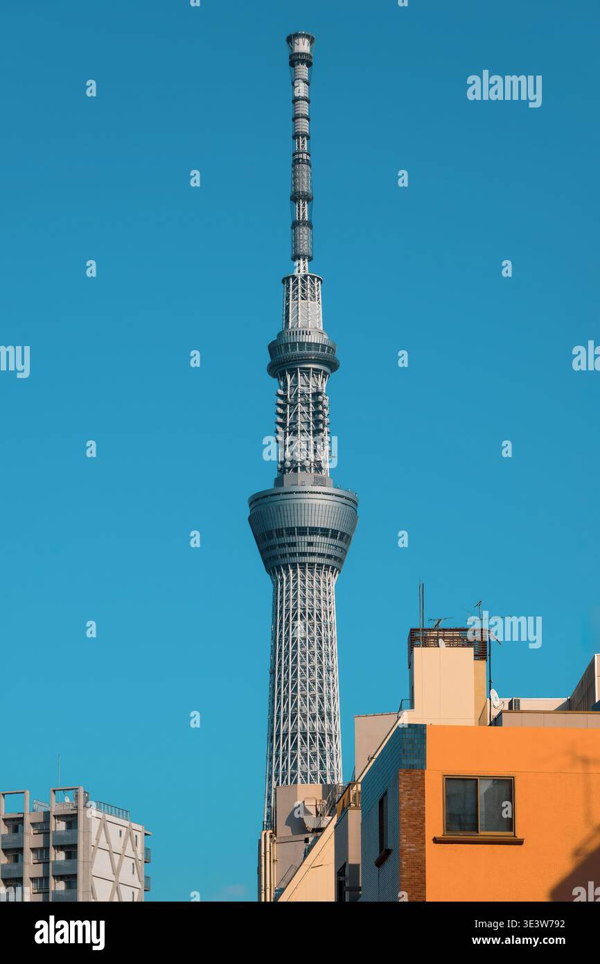 Blick auf den Tokyo Skytree, einen Rundfunk- und Aussichtsturm in Tokio, Japan. Stockfoto