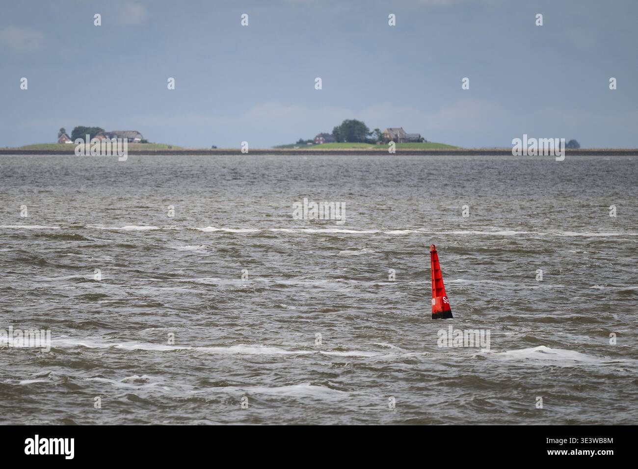 Hallig, Nordfriesland, Schleswig-Holstein, Deutschland Stockfoto