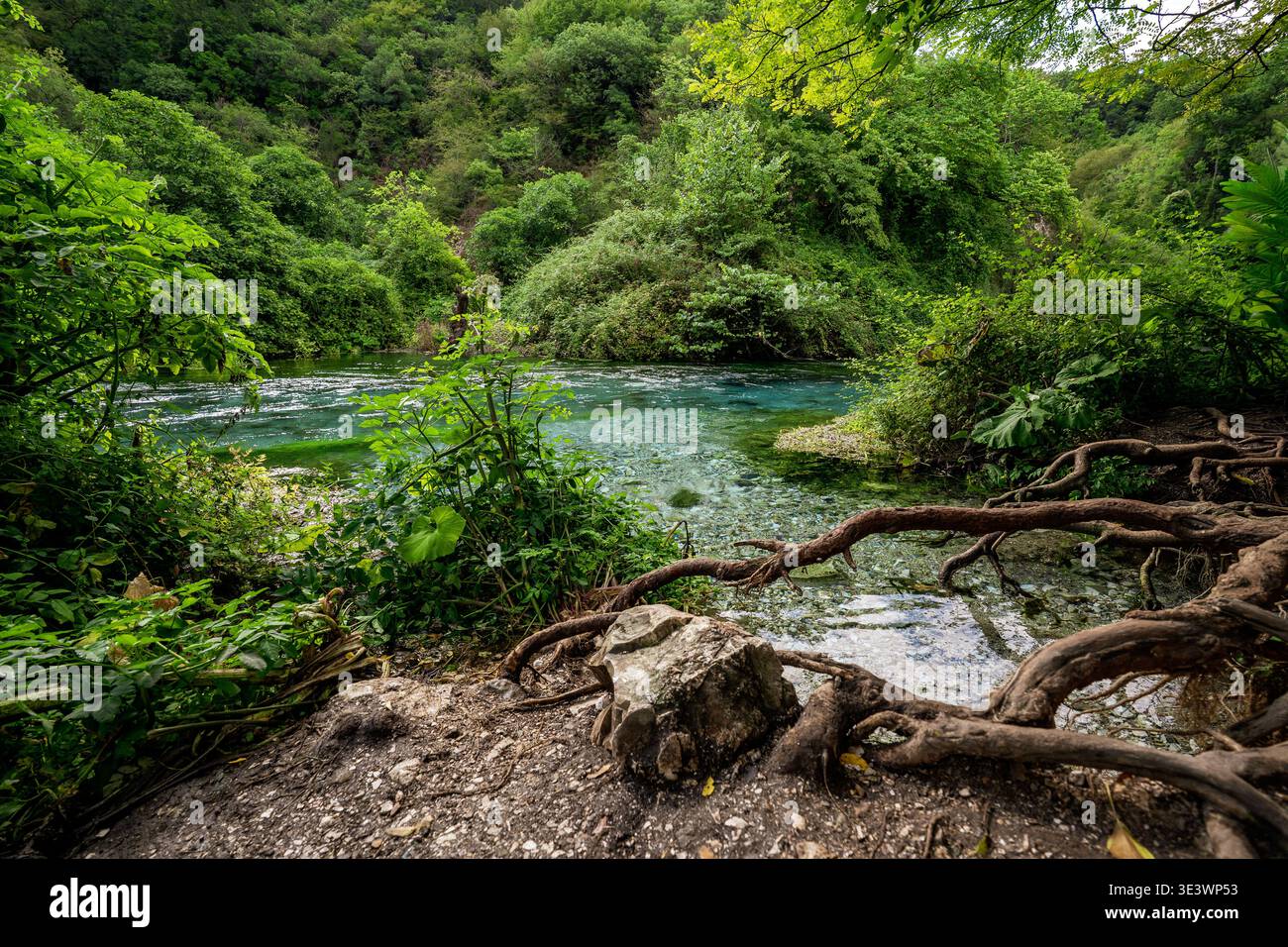 Ein Blick vom Boden auf die kristallklare Blue-Eye-Quelle in der Nähe von Saranda, Albanien. Das Foto zeigt das lebhafte türkisfarbene Wasser des Bistrica River Stockfoto